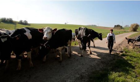 La France agricole – Lever les clichés sur le monde de l’élevage
