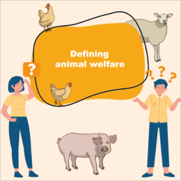 Defining animal welfare