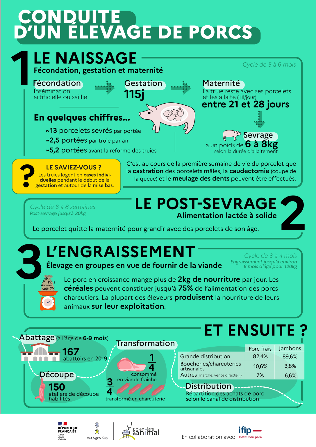 Fiche élevage Tout savoir sur l’élevage de porcs charcutiers