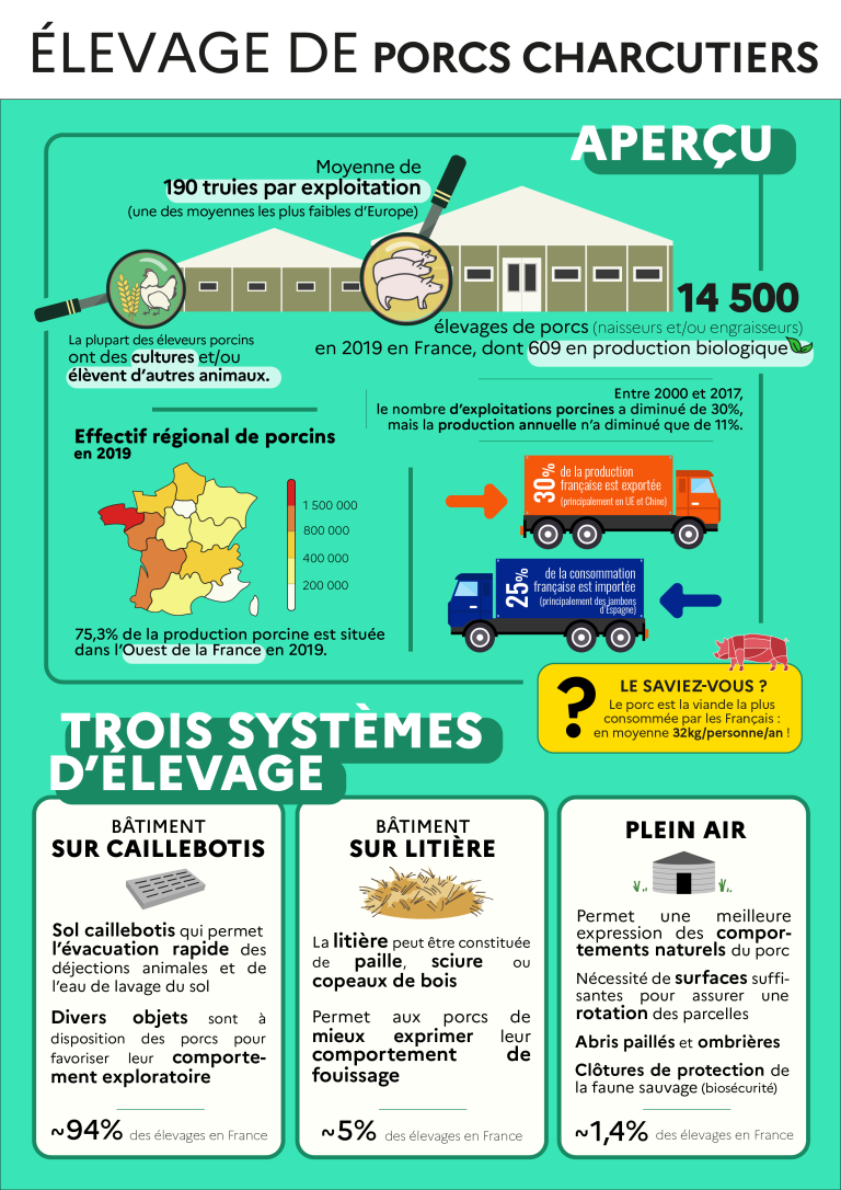 Fiche élevage Tout savoir sur l’élevage de porcs charcutiers