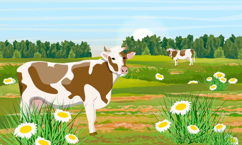 image clipart vache gratuitous