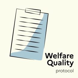 Vidéo- Welfare Quality®, a reference protocol for assessing animal welfare