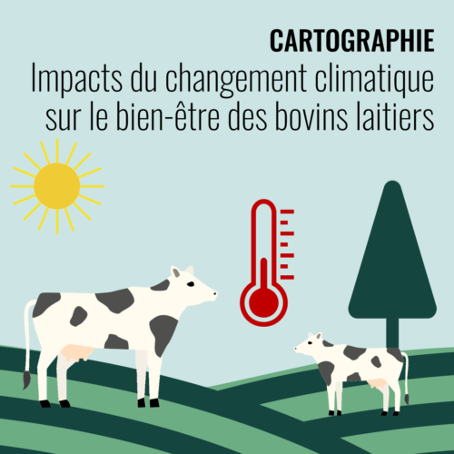 Cartographie – Impacts du changement climatique sur le bien-être des bovins laitiers