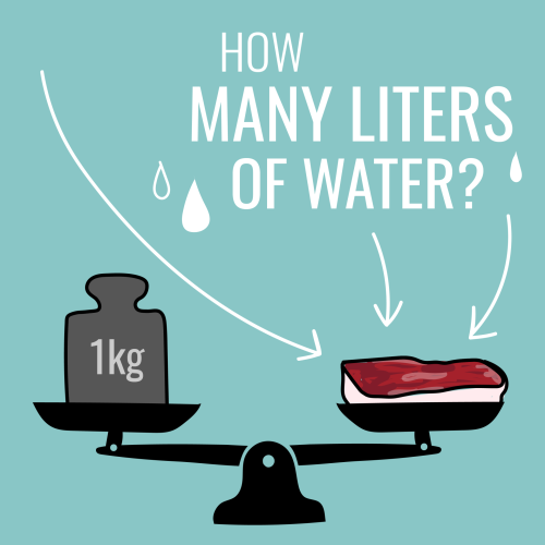 It takes 15000 liters of water to produce 1 kg of beef: TRUE or FALSE?