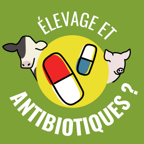 Les animaux d’élevage sont nourris avec des aliments contenant des antibiotiques : VRAI ou FAUX ?