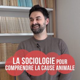 La sociologie pour comprendre la cause animale