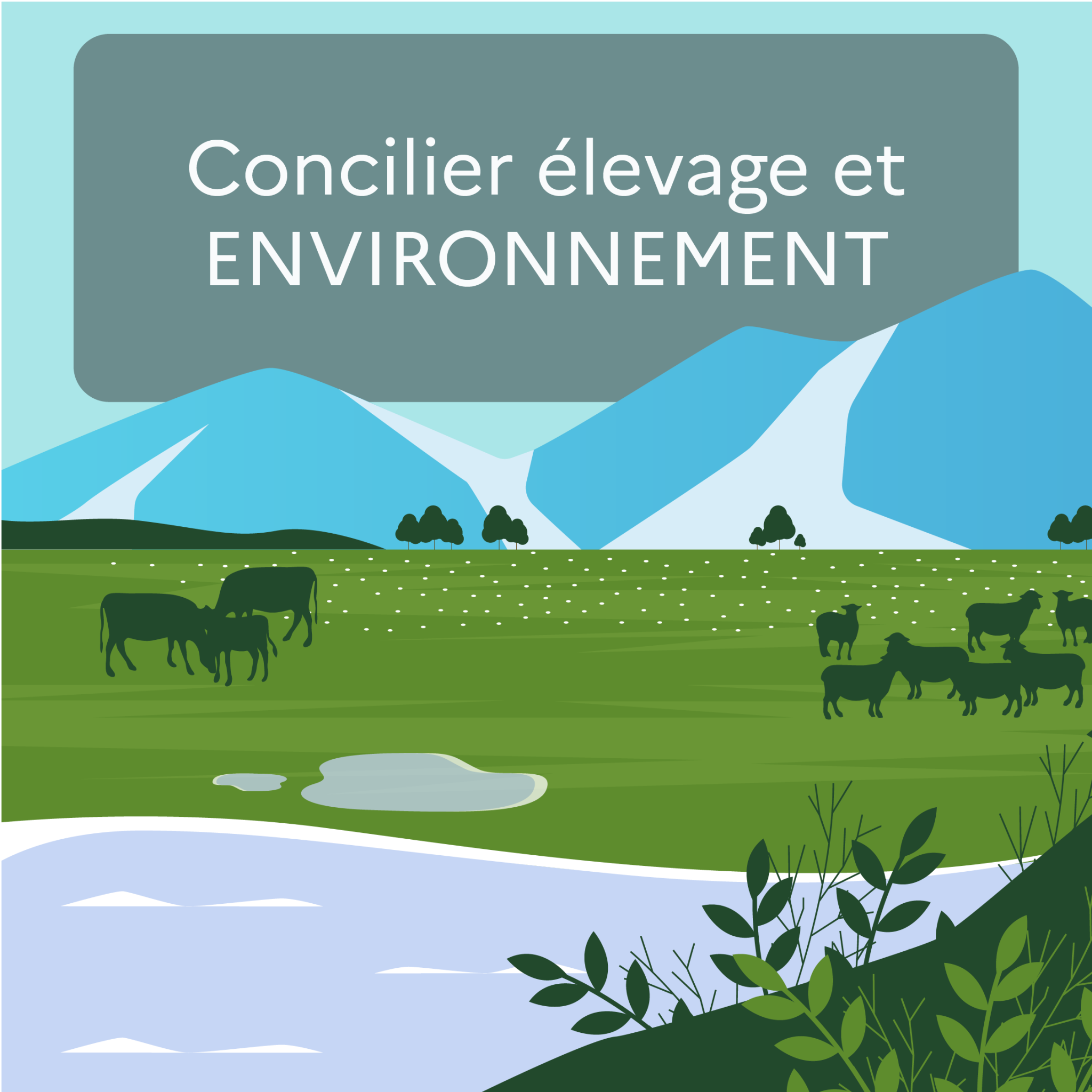 concilier-levage-et-environnement-chaire-bien-tre-animal