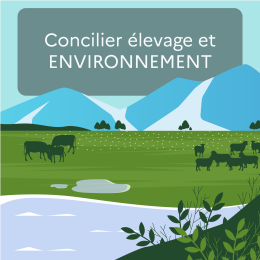 Concilier élevage et environnement