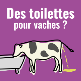 Le CowToilet : des WC pour vaches pour réduire les émissions d’ammoniac et mieux valoriser l’azote ?