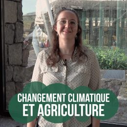 Klimaco : accompagner les éleveurs bovins au changement climatique