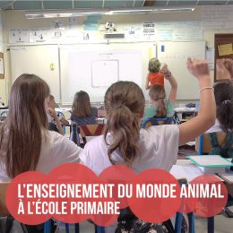 L’enseignement du monde animal à l’école primaire