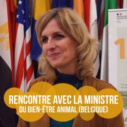 Céline Tellier, ministre belge bien-être animal