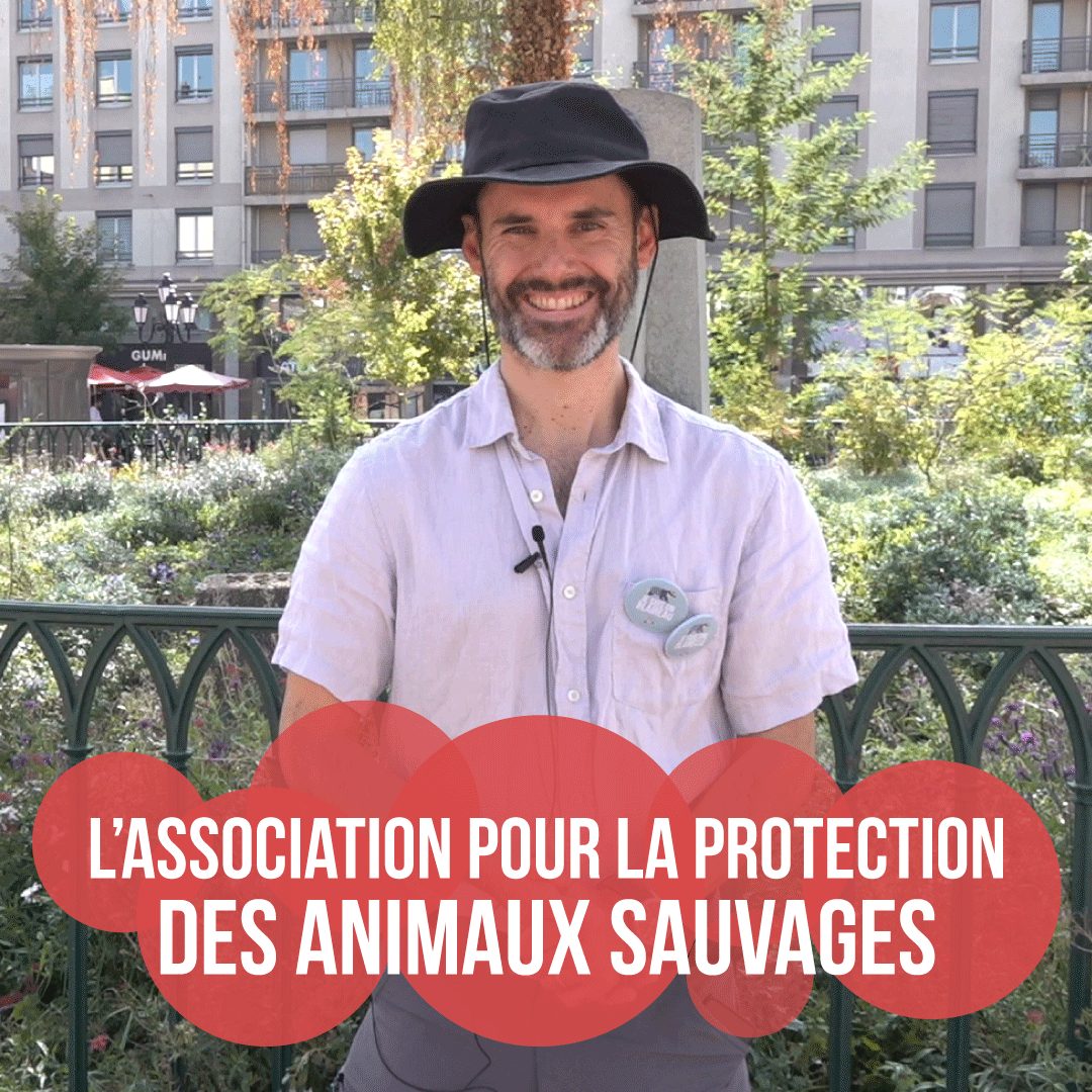 Protection des animaux sauvages quelle place pour le vivant — free download