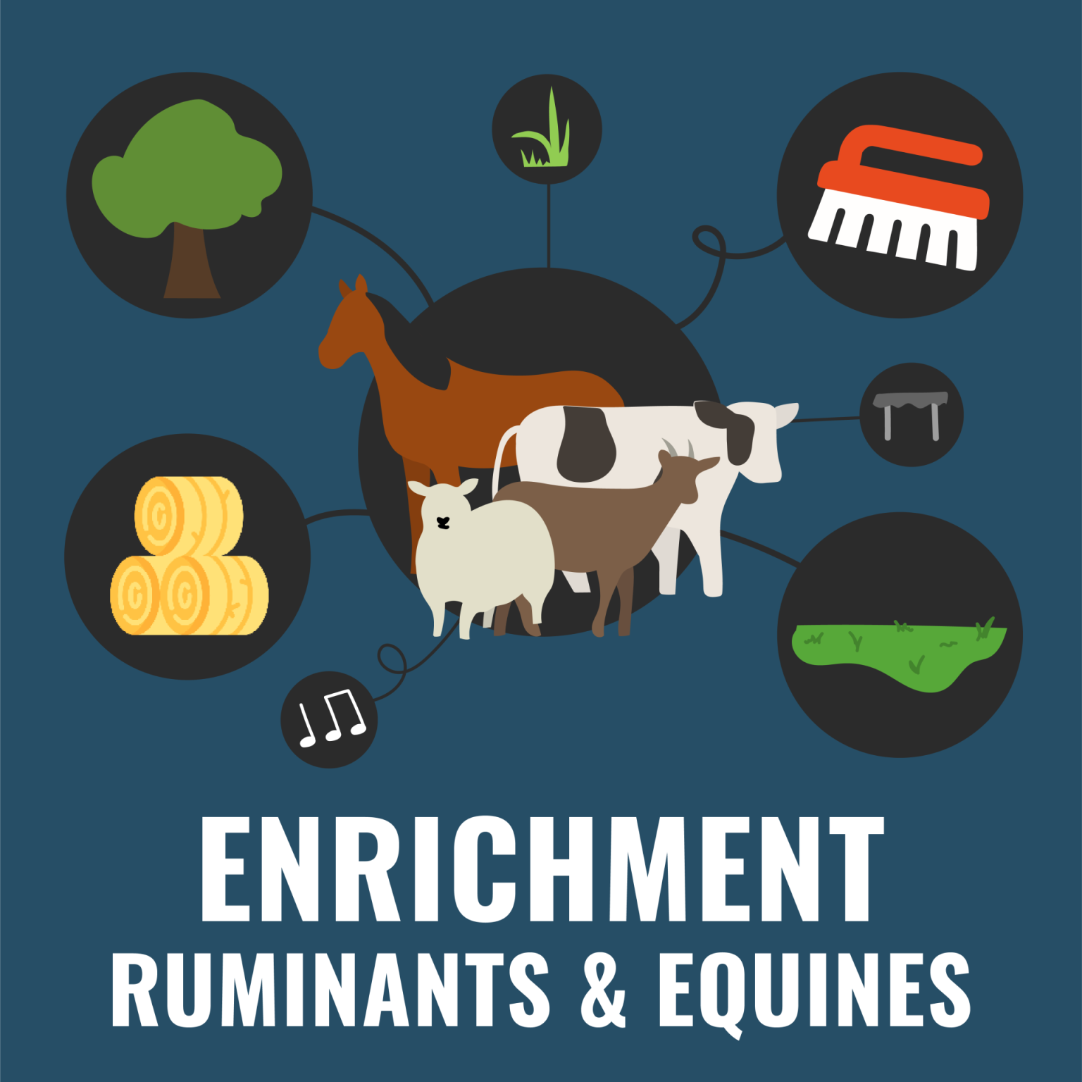 Why and how to enrich the environment of farm animals? - Chaire bien ...