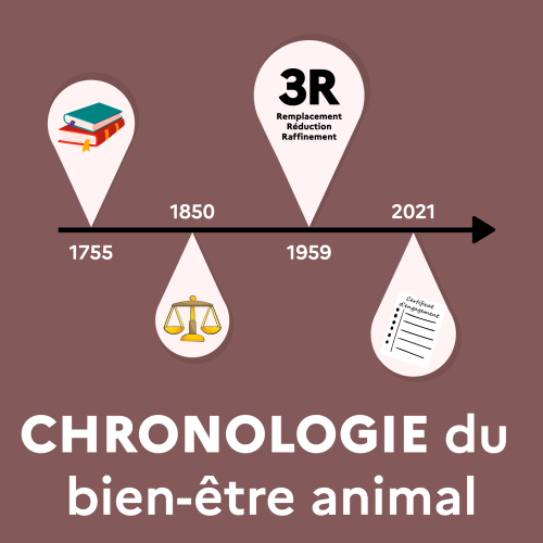 Chronologie du bien-être animal : Faits marquants