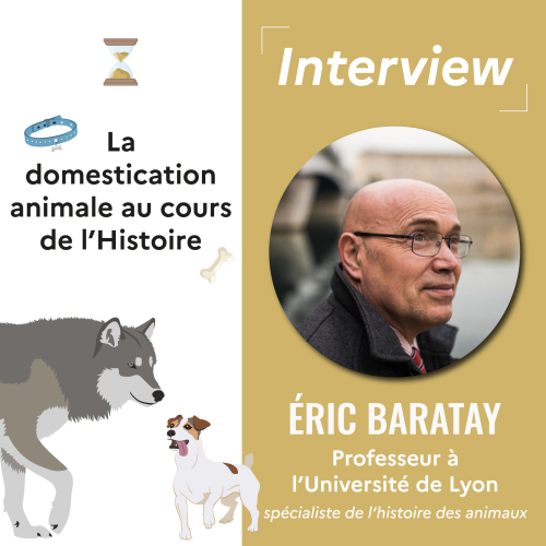 La domestication animale au cours de l’histoire