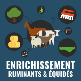 Enrichissement ruminants et équidés