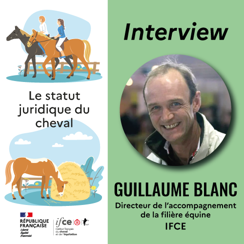 Statut juridique du cheval :  quels impacts sur l’environnement et sur son bien-être ?