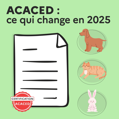 ACACED, ce qui change en 2025