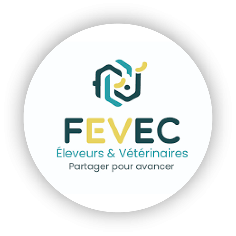 Logos partenaires_Fever