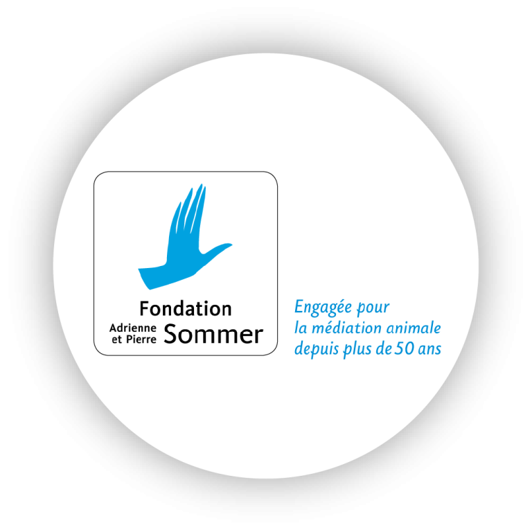 Logos partenaires_Fondation Pierre et Adrienne Sommer