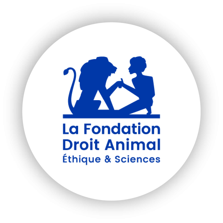 Logos partenaires_LFDA