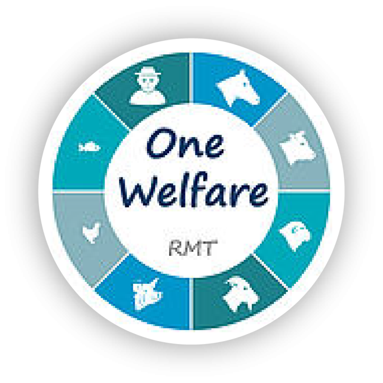 Logos partenaires_RMT One Welfare