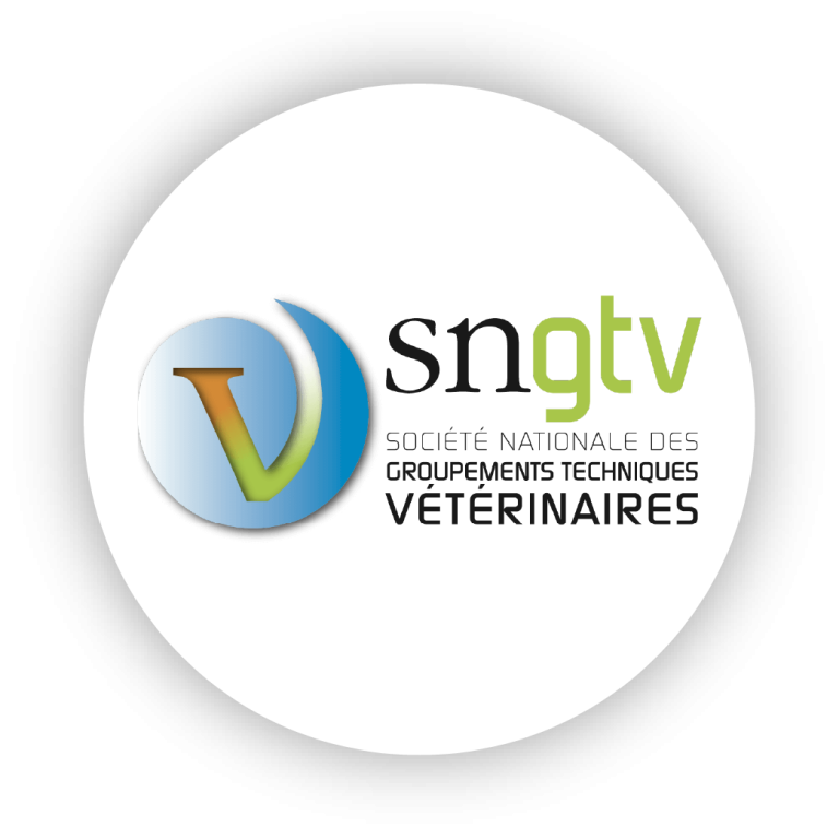 Logos partenaires_SNGTV