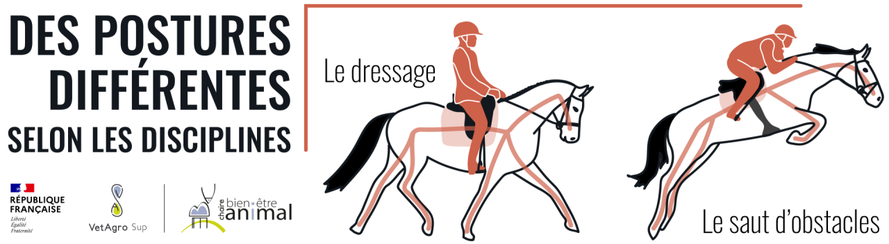 Des postures différentes selon les disciplines