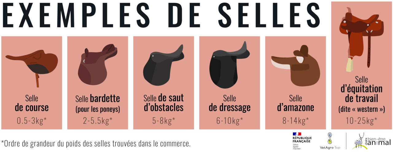 Exemples de selles