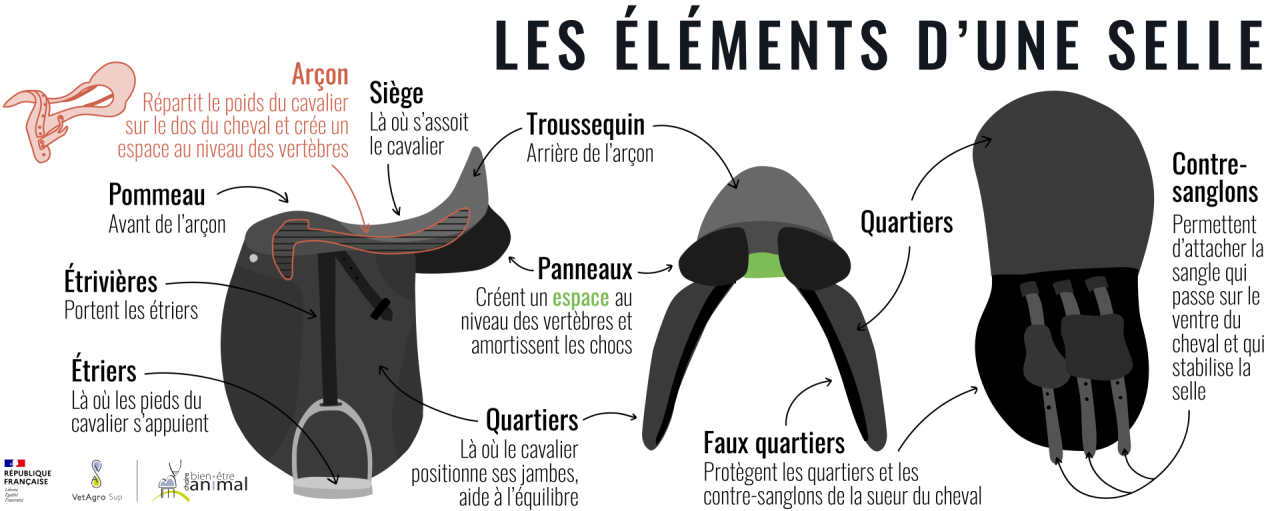 Les éléments d'une selle