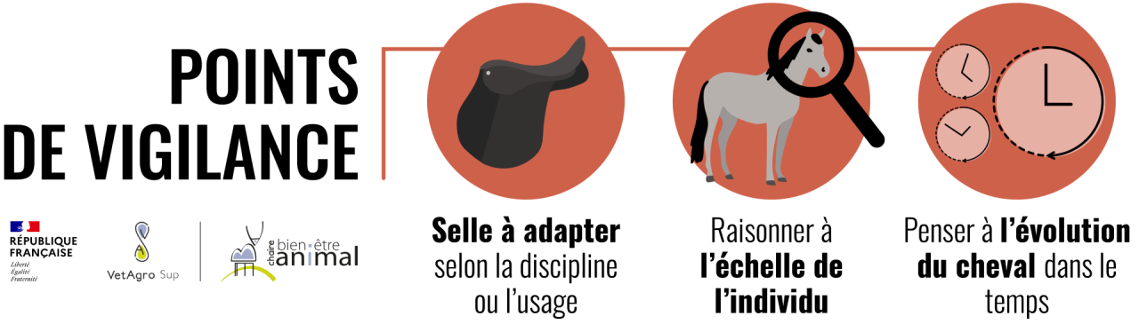 Points de vigilance