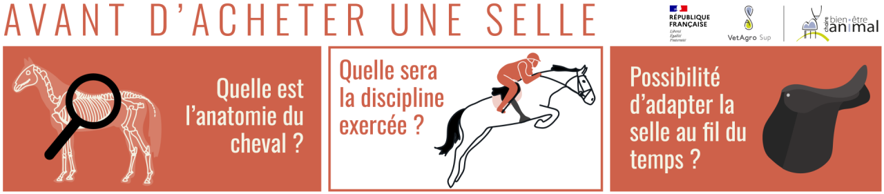 Avant d'acheter une selle