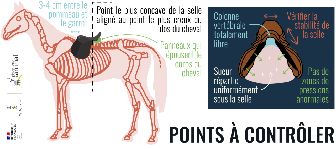 Points à contrôler