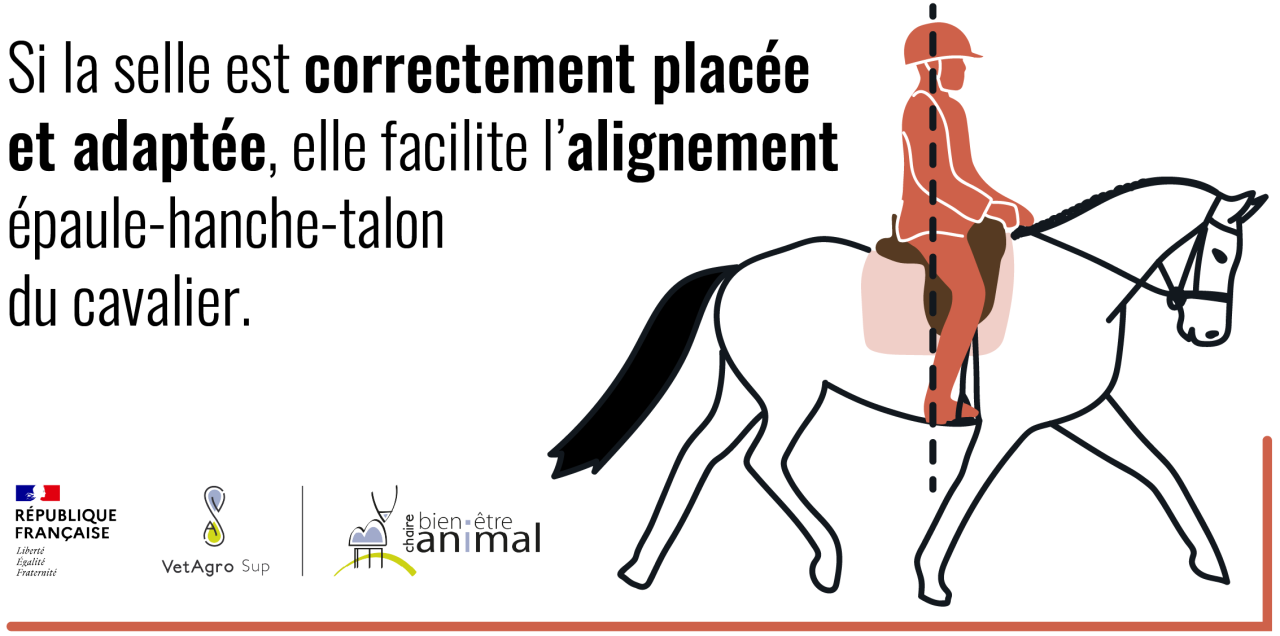 Alignement
