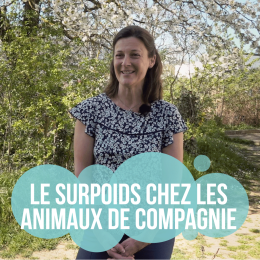 Le surpoids chez les chiens et les chats