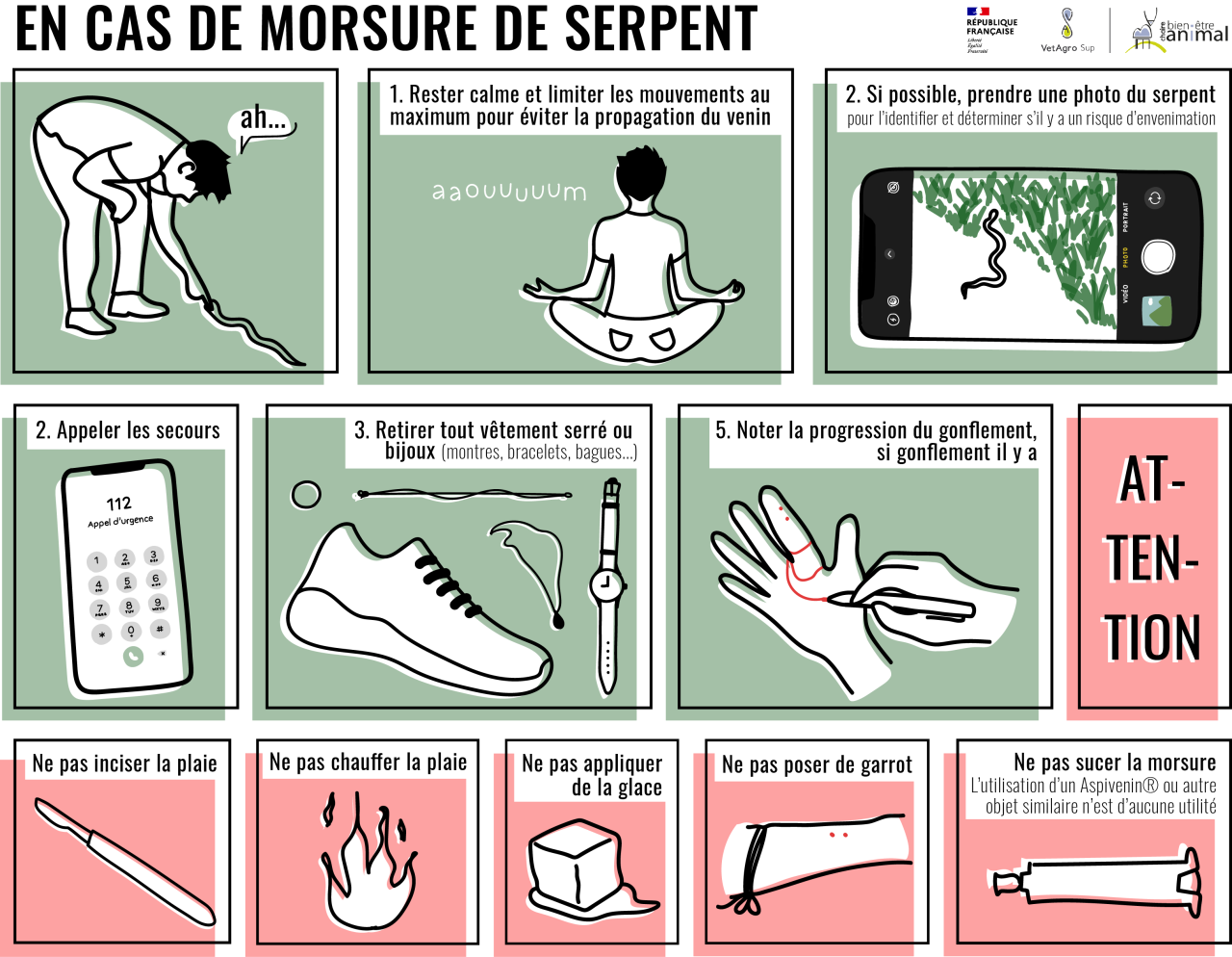 Que faire en cas de morsure