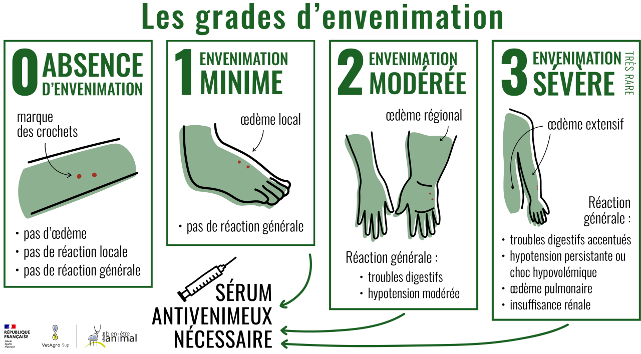 Grades envenimation
