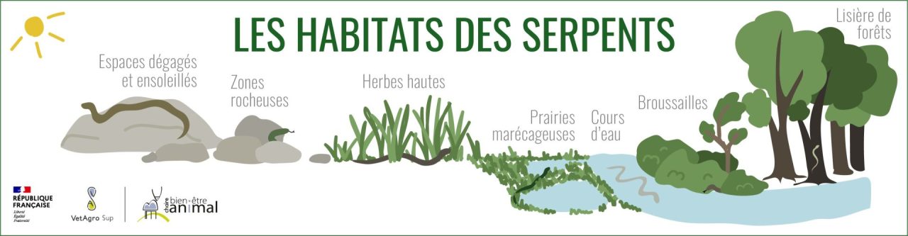 Habitats des serpents