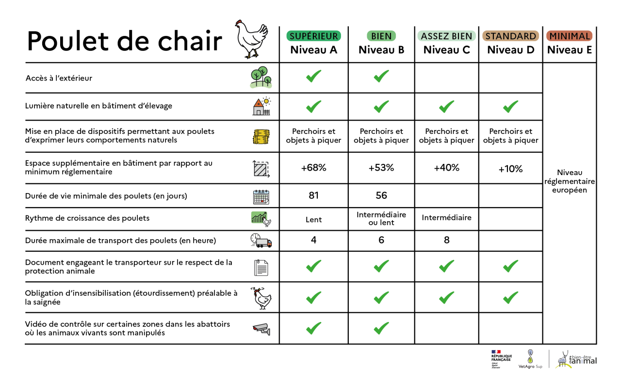 Critères - Poulet de chair