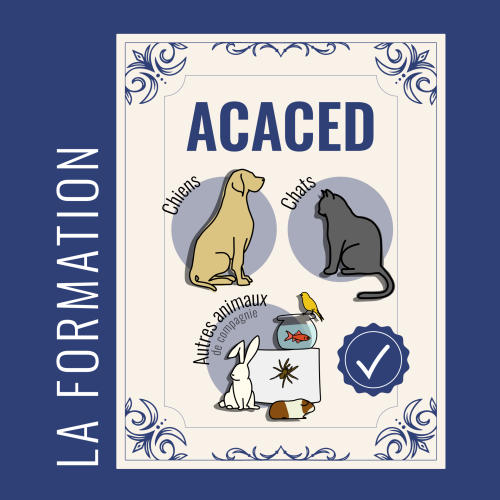 ACACED - formation animaux de compagnie