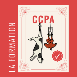 Qu&rsquo;est-ce que la formation CCPA ?