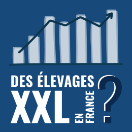 Des élevages XXL en France ?