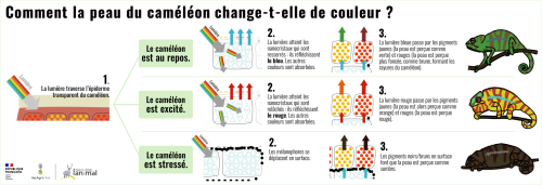 Quelles Sont Les Couleurs Chaudes Et Vives - UPQUZQ