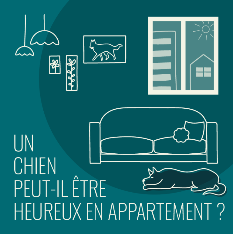 Un chien peut-il être heureux en appartement ?