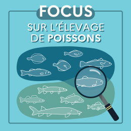 Elevage de poissons en France