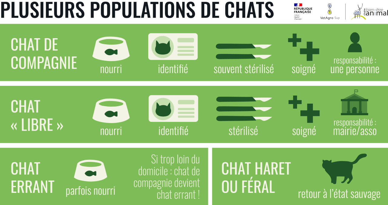 Populations de chats