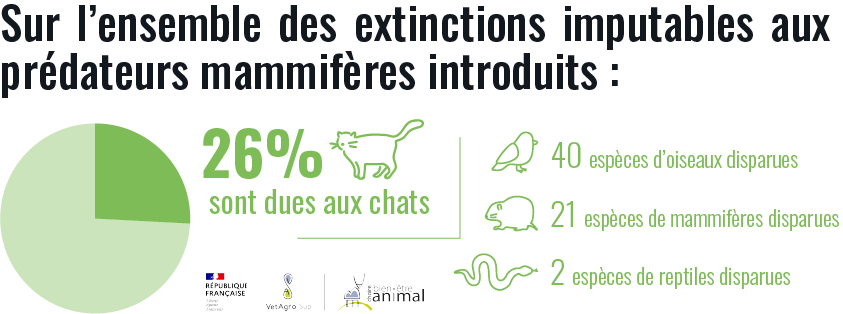 Extinctions d'espèces causées par les chats