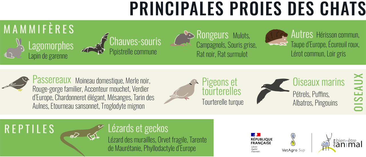 Principales proies