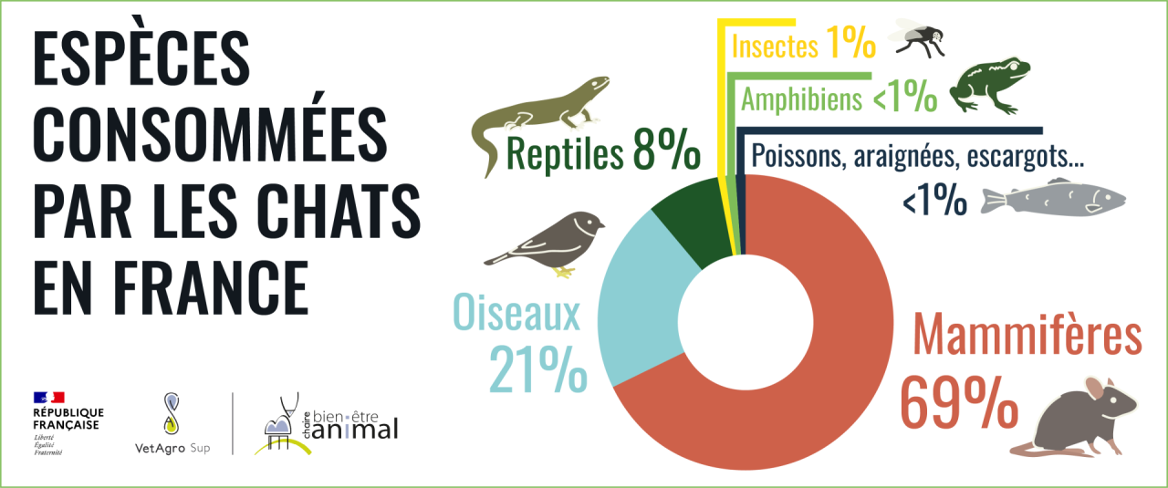 Espèces consommées
